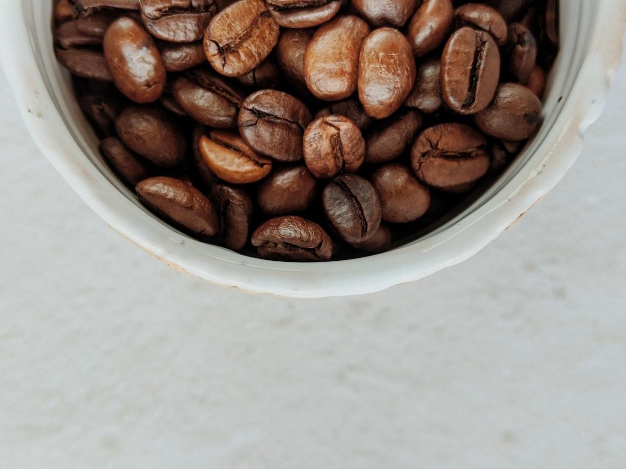 What are the best coffee beans available in Canada? Chocolate Brands Blog