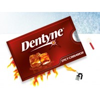 Adams Gum Dentyne Cinnamon