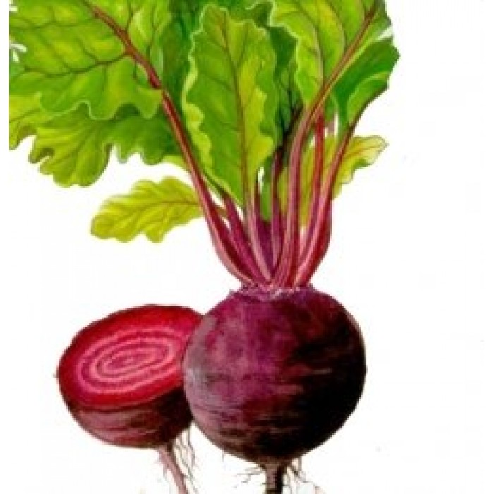 Bonduelle Red Beet